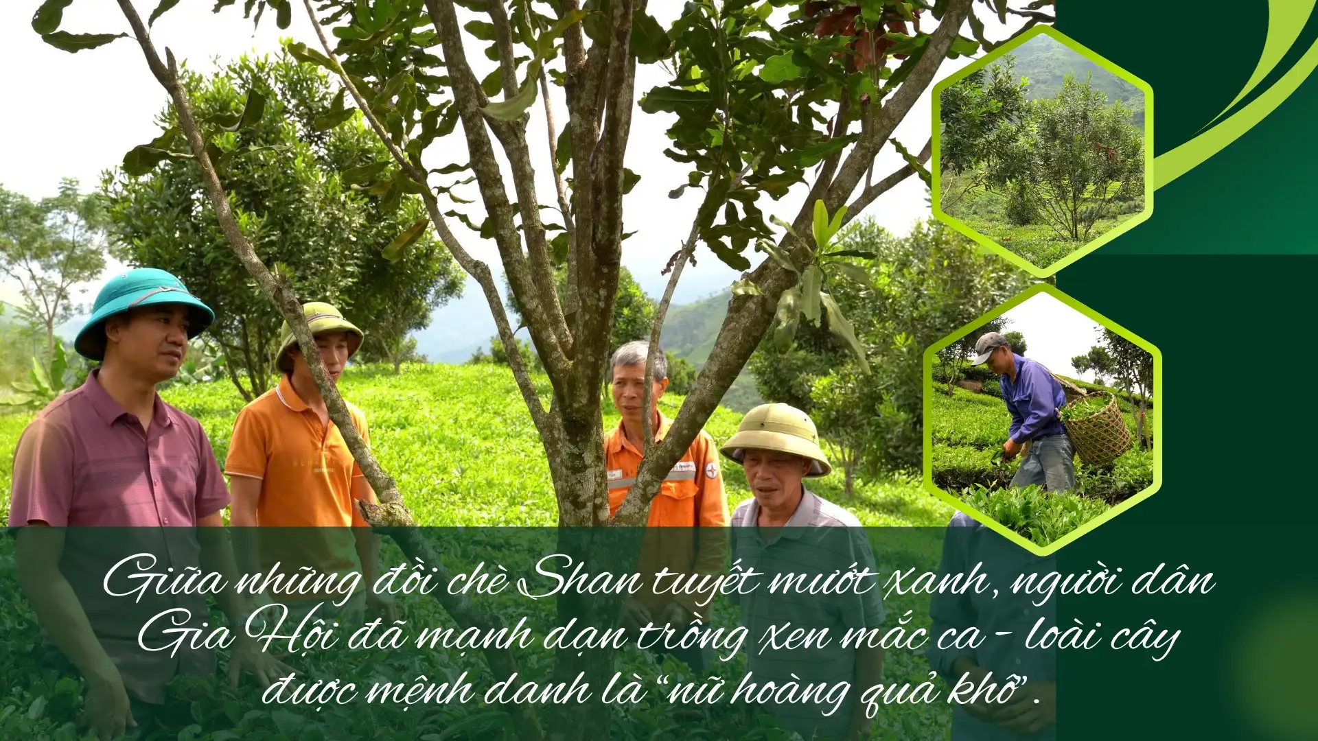 Giảm nghèo bền vững từ thay đổi tư duy sản xuất