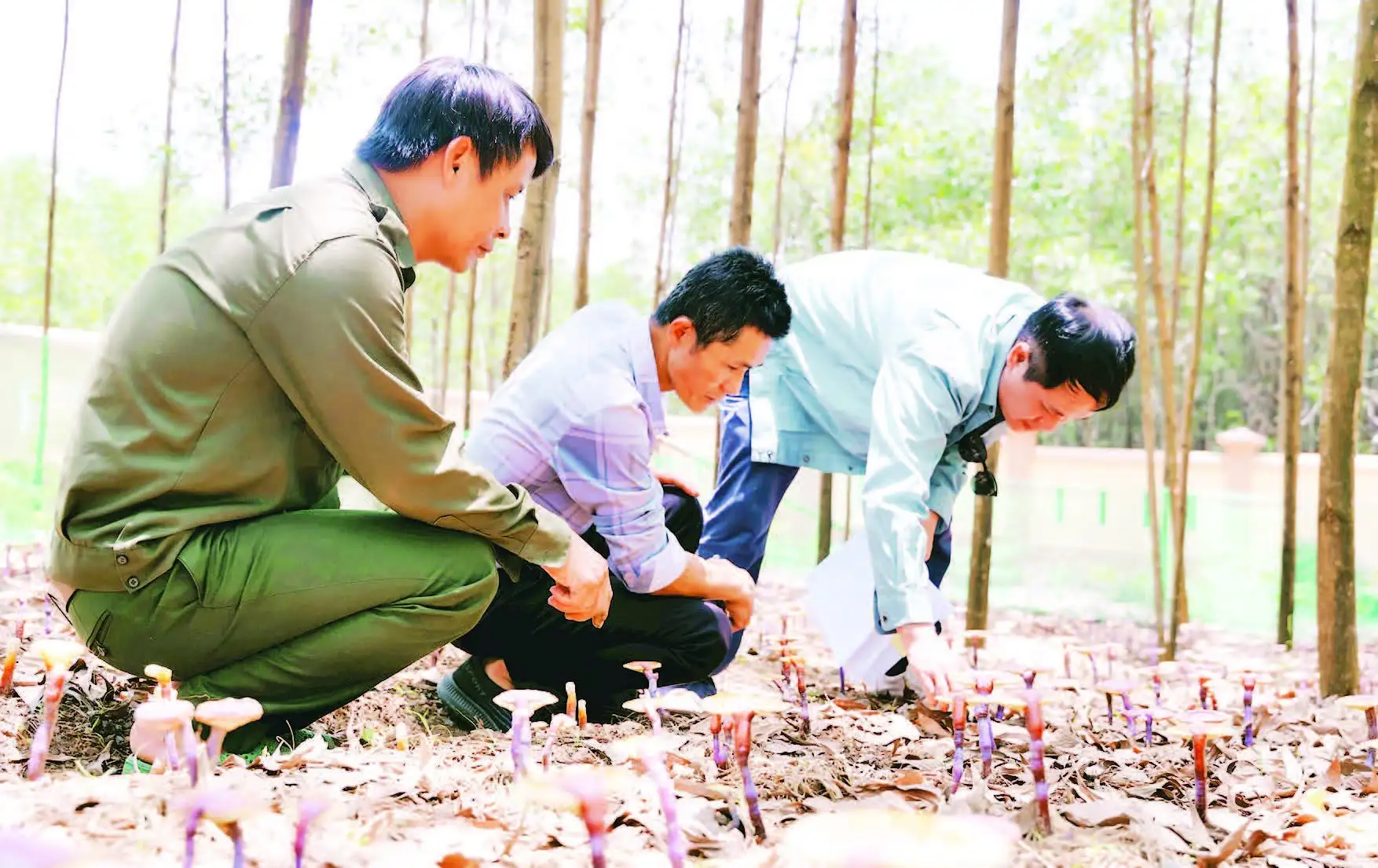 Giảm nghèo giúp người dân nâng cao năng lực, khơi dậy nội lực và lan tỏa giá trị bền vững trong cộng đồng