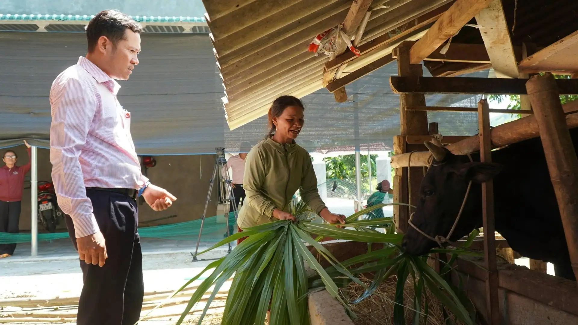 Giảm nghèo ở Quảng Ngãi: Dấu ấn từ những mô hình kinh tế nông nghiệp mới, hiệu quả kinh tế tốt