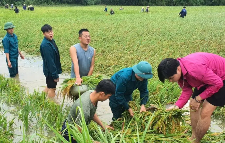 Giảm tới 30% thuế, miễn tiền thuê đất cho doanh nghiệp nông nghiệp vùng bão
