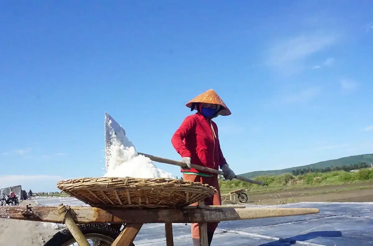 Giữ nghề muối, dựng sinh kế bền vững cho diêm dân Nghệ An