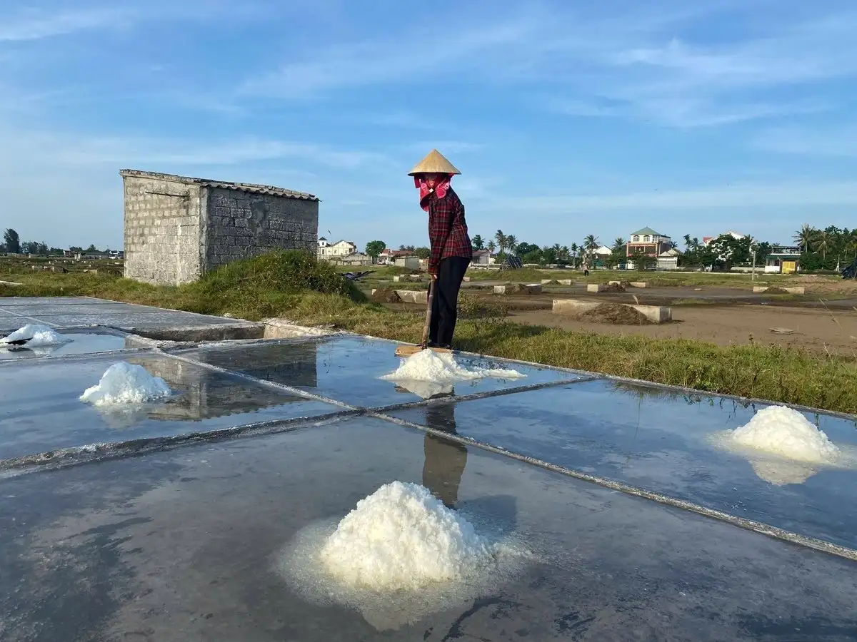 Giữ nghề muối, dựng sinh kế bền vững cho diêm dân Nghệ An