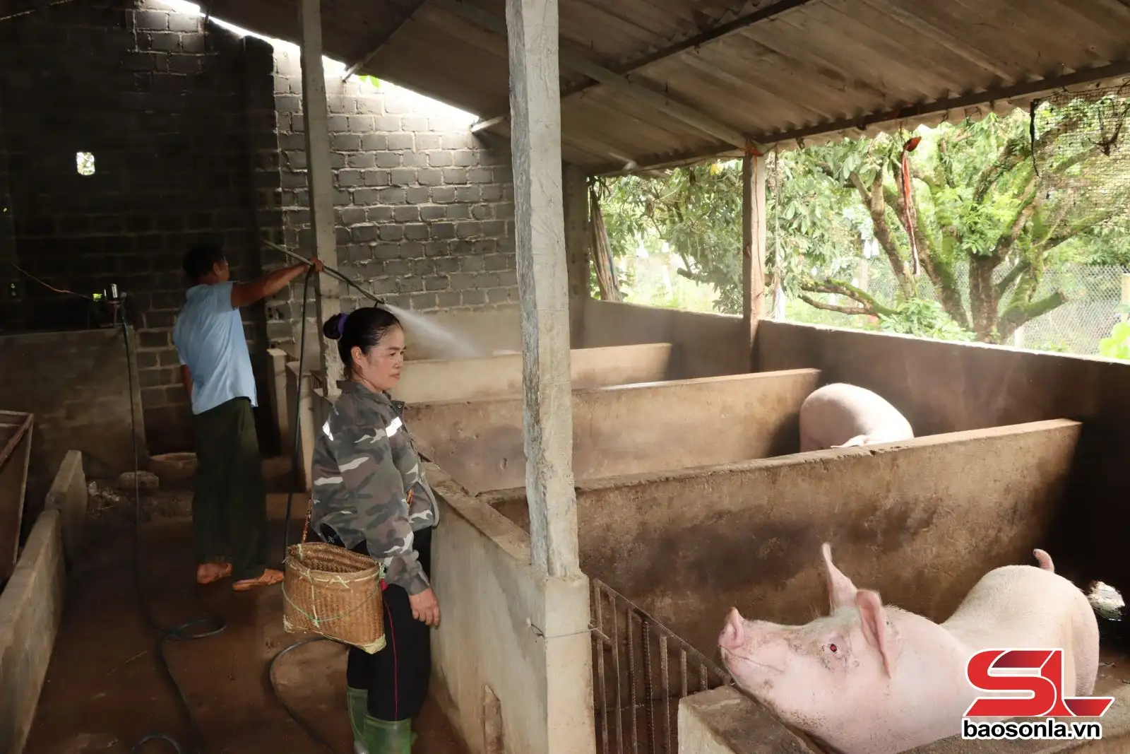 Giữ vững tiêu chí nông thôn mới