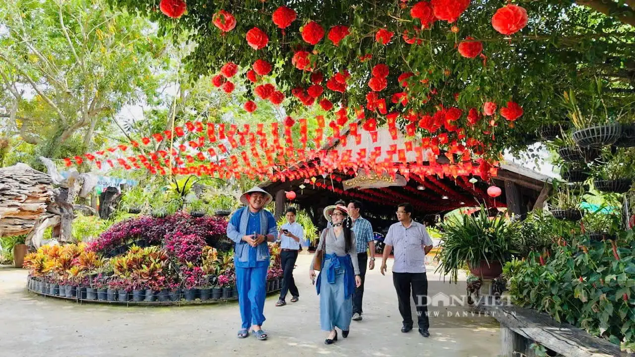 Giữa sông Tiền ở An Giang, một cù lao trù phú, tuyến đường nông thôn mới đẹp như phim, cây xoài thả vô số quả ngon