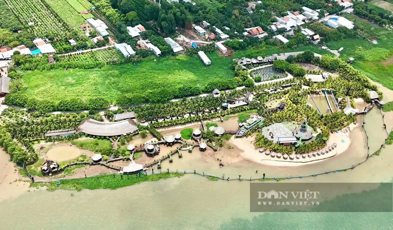 Giữa sông Tiền ở An Giang, một cù lao trù phú, tuyến đường nông thôn mới đẹp như phim, cây xoài thả vô số quả ngon