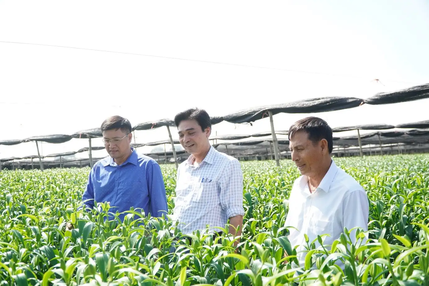 Hà Nội hướng đến nền nông nghiệp sinh thái, nông thôn hiện đại