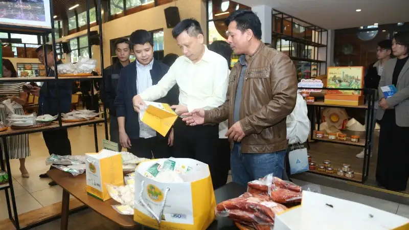 Hà Nội: Phát triển làng nghề gắn với xây dựng thương hiệu OCOP