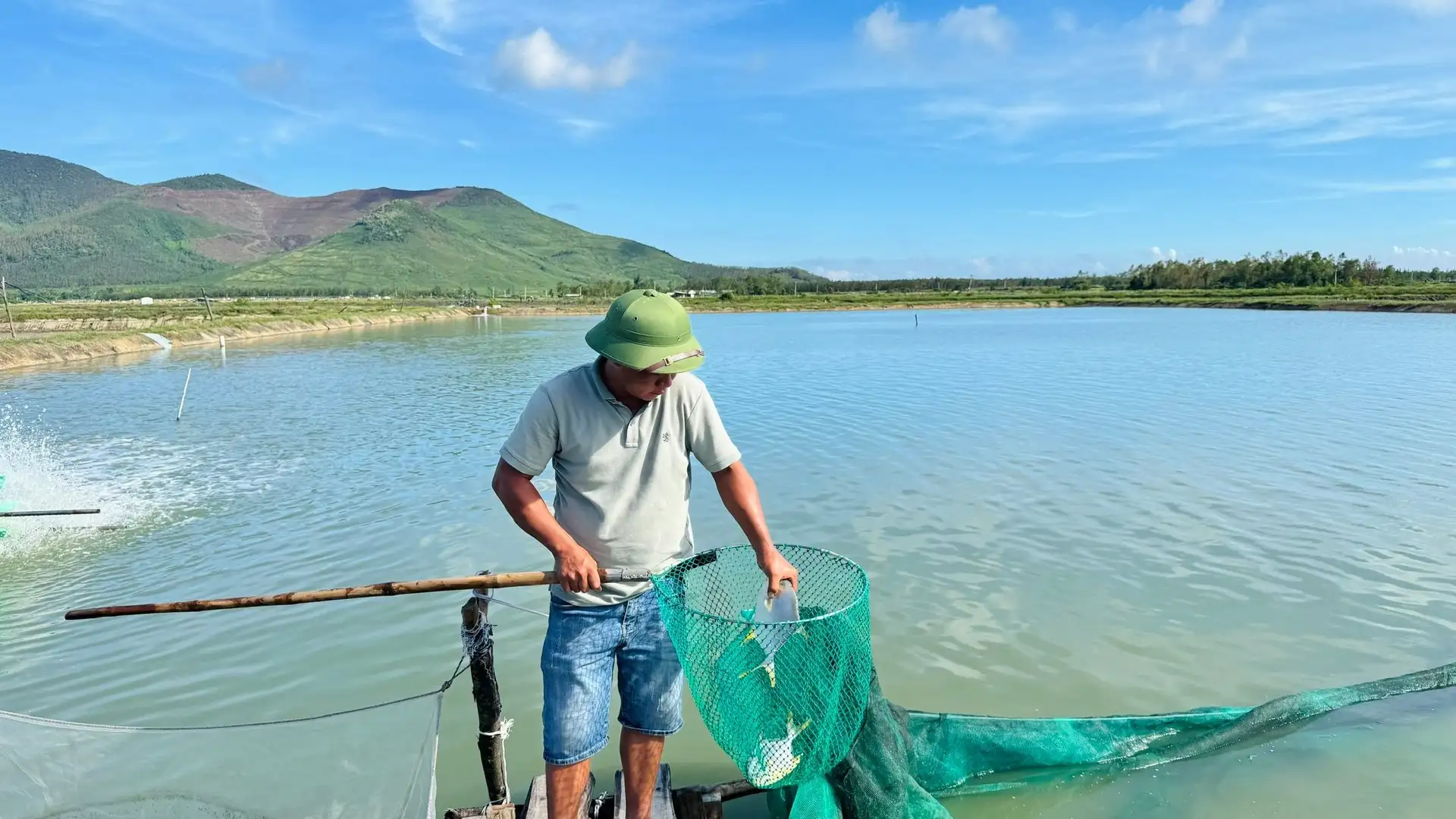 Hà Tĩnh nhân rộng nuôi cá chim vây vàng VietGAP