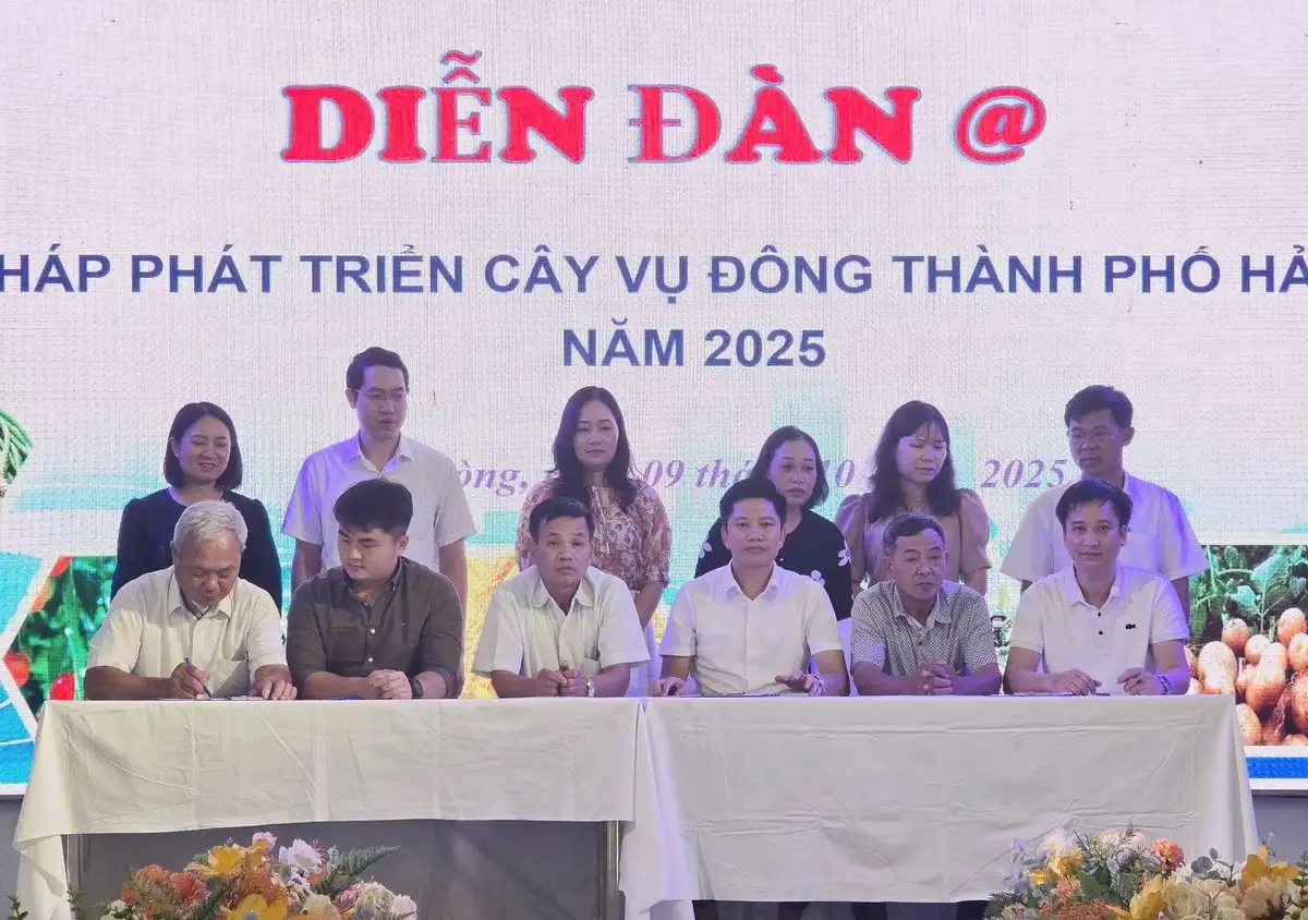 Hải Phòng đặt mục tiêu vụ đông trên 5.000 tỷ đồng