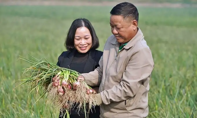 Hải Phòng đặt mục tiêu vụ đông trên 5.000 tỷ đồng
