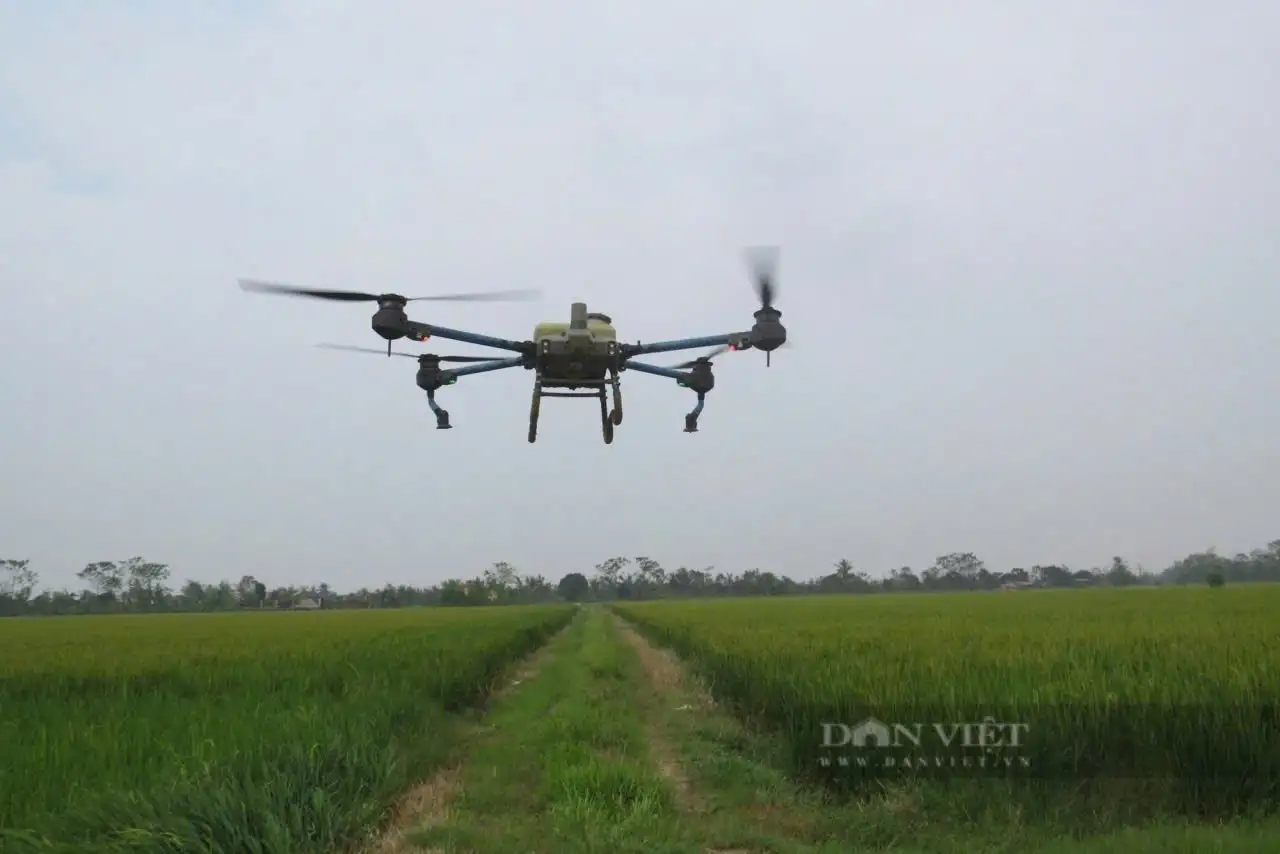 Hải Phòng sau sáp nhập Hải Dương thành công, bứt tốc về nông nghiệp công nghệ cao, sản xuất quy mô lớn