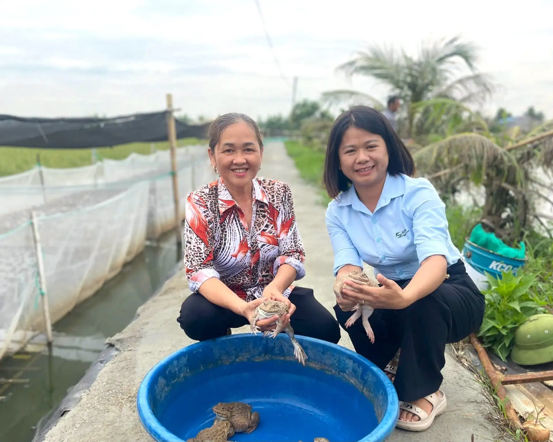 Hải Phòng triển khai 13 mô hình khuyến nông trọng điểm