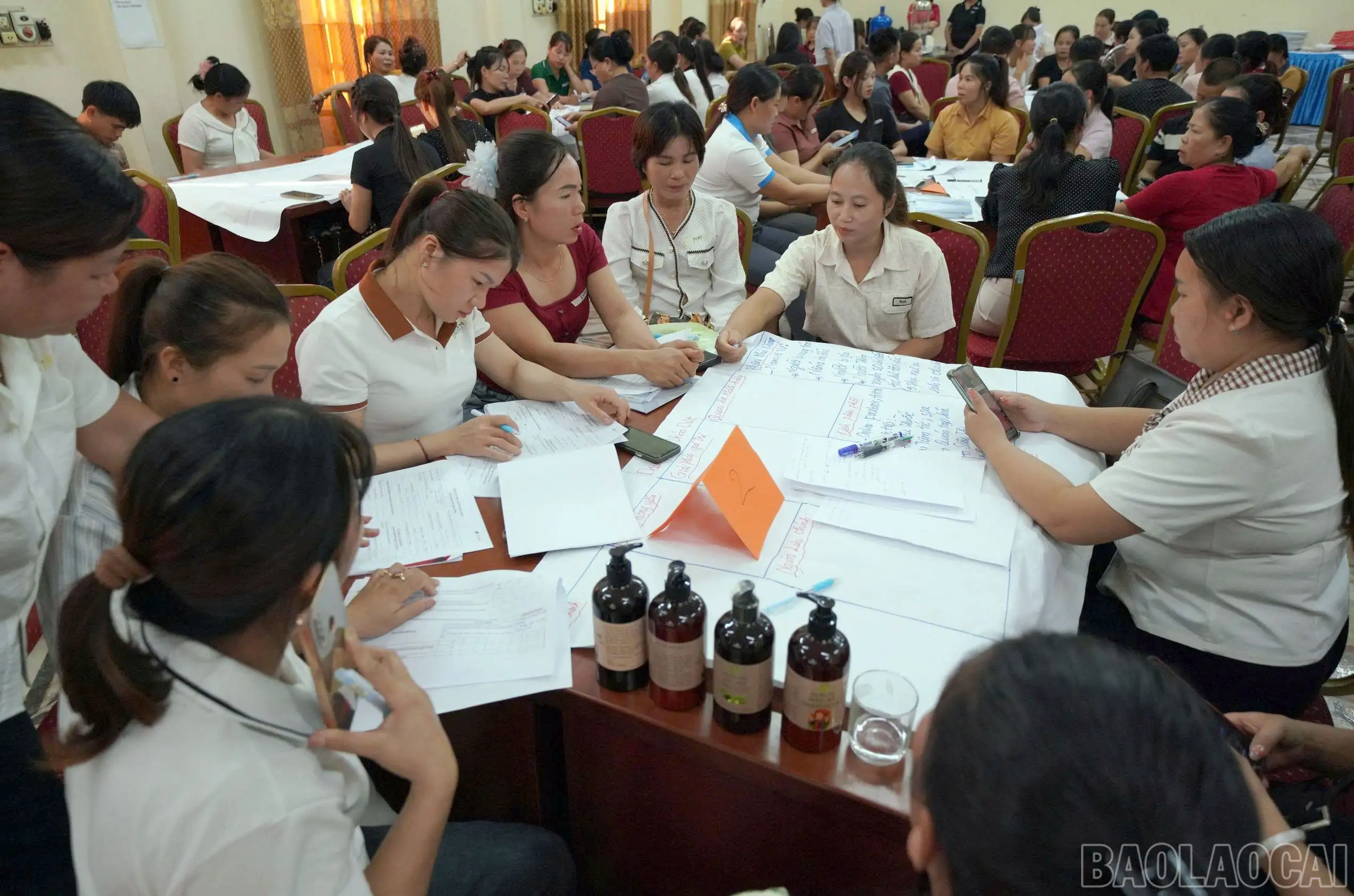 Hỗ trợ đồng bào dân tộc thiểu số phát triển nông nghiệp xanh, sạch, bền vững