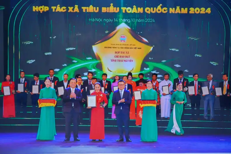 Hợp tác xã chè Hảo Đạt nâng tầm chè đặc sản Thái Nguyên