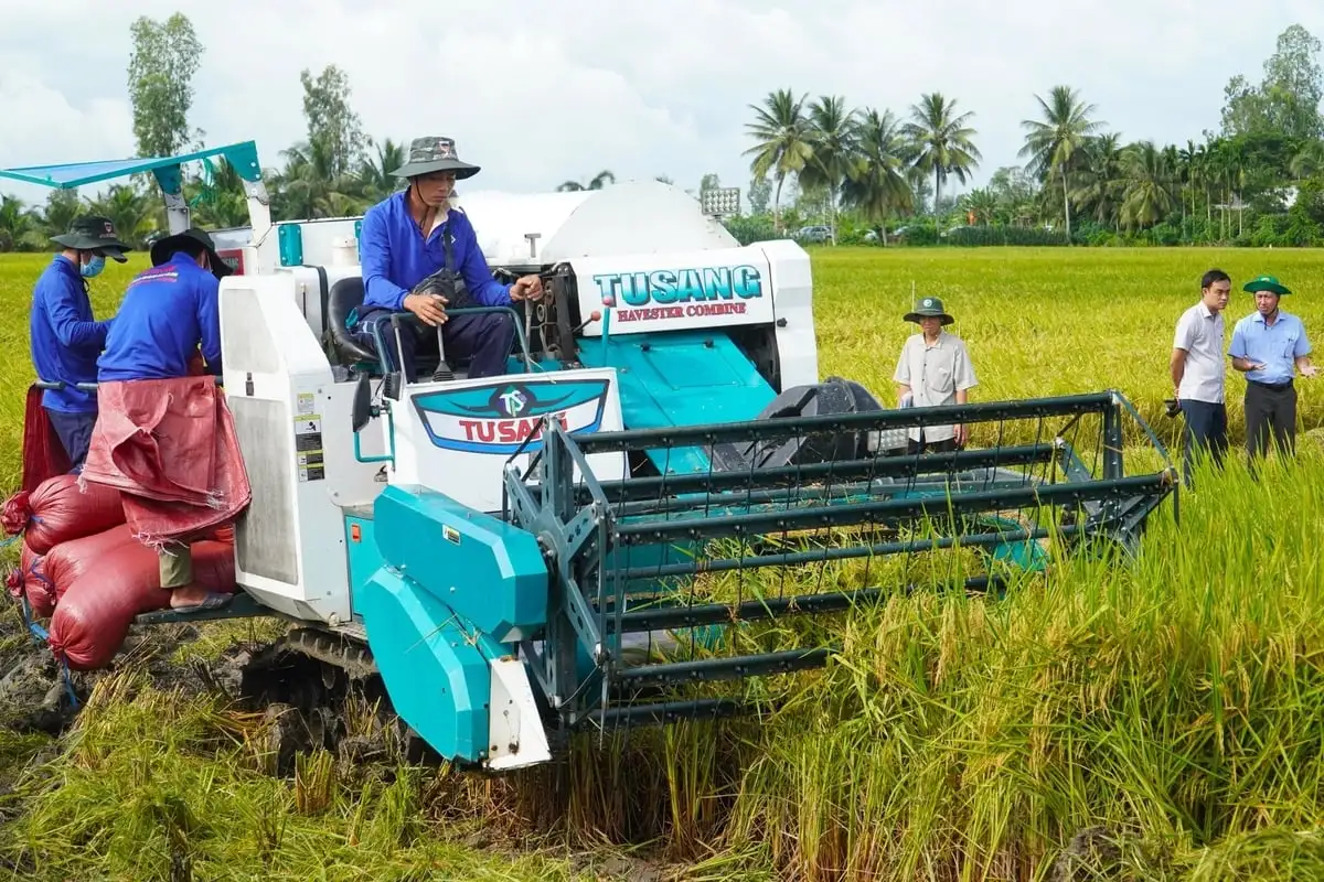 Hợp tác xã tham gia Đề án 1 triệu ha lúa khó tiếp cận tín dụng
