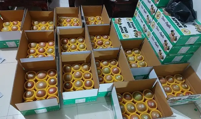 HTX đẩy mạnh liên kết chuỗi, nâng tầm OCOP góp phần xây dựng nông thôn mới
