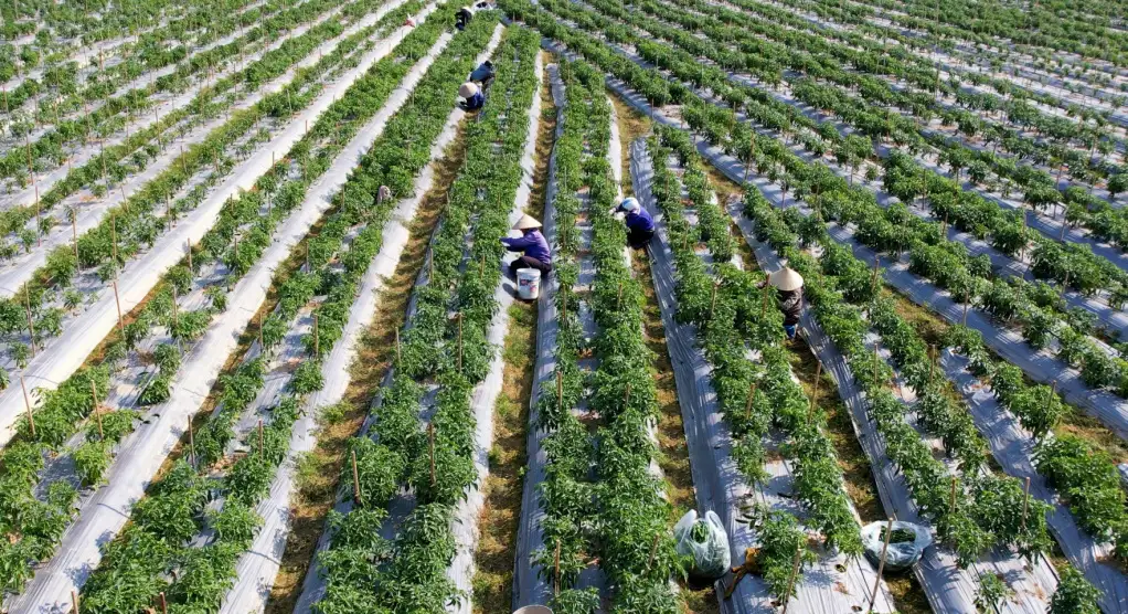 HTX và bài toán tái cấu trúc quy mô lớn để tạo sức mạnh xuyên vùng