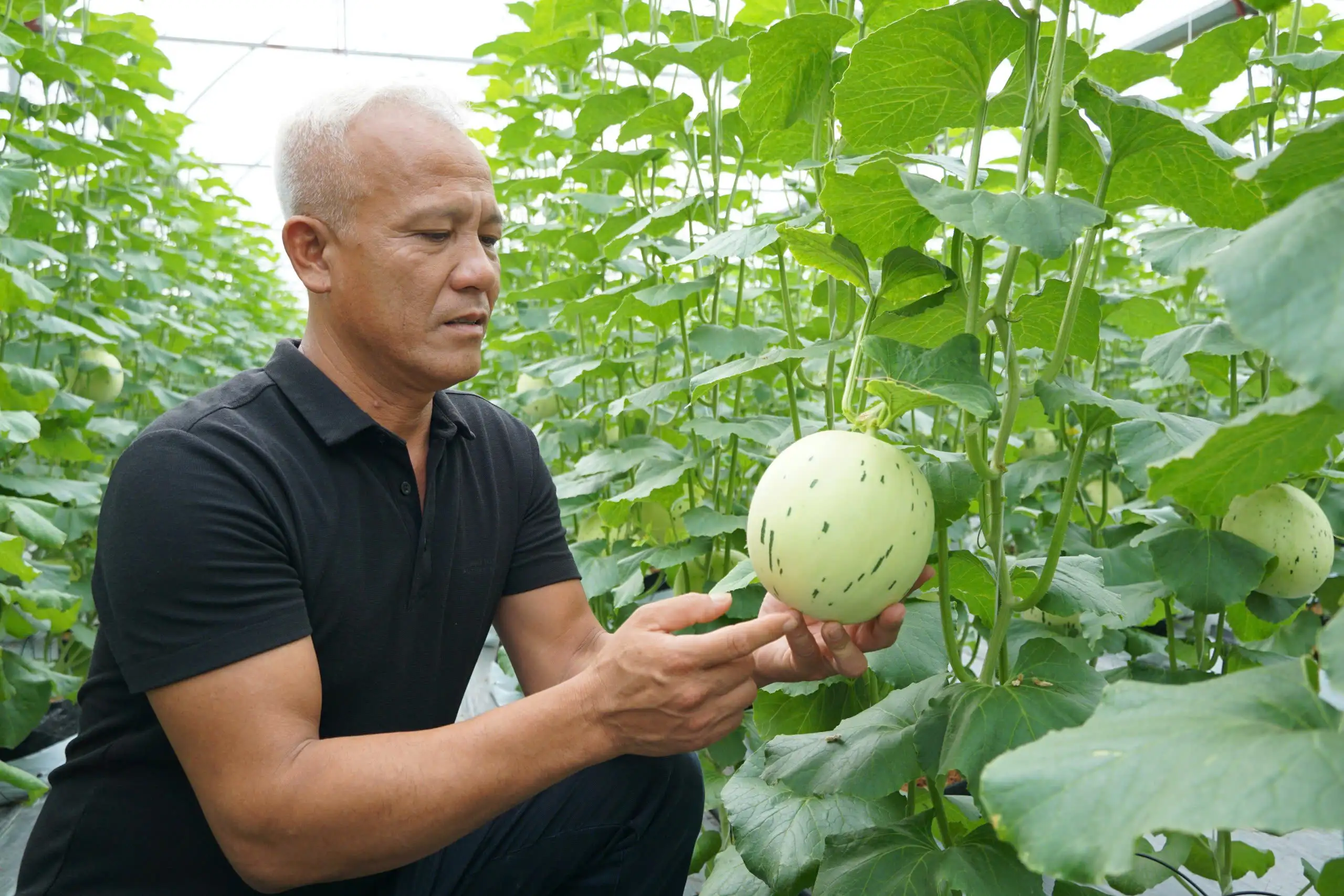 Hưng Yên có hơn 100 sản phẩm đạt OCOP 4 sao