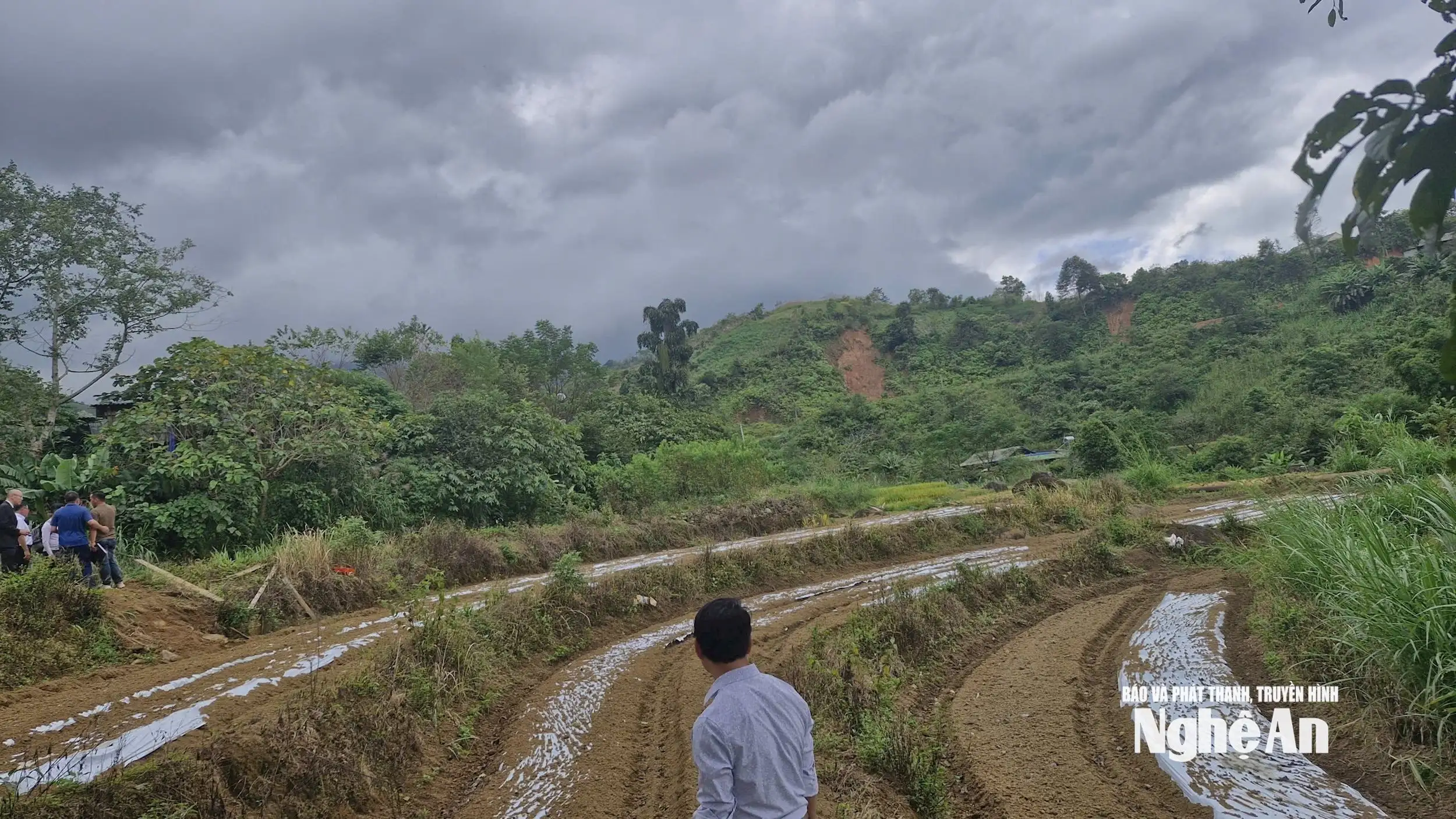 JICA tiếp tục triển khai mô hình trồng tỏi trắng Nhật Bản ở xã Na Ngoi (Nghệ An)