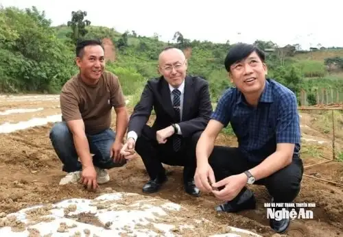 JICA tiếp tục triển khai mô hình trồng tỏi trắng Nhật Bản ở xã Na Ngoi (Nghệ An)