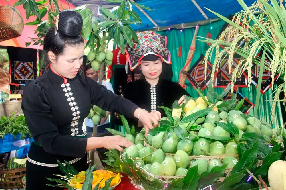 Kết nối thị trường, xây dựng chuỗi giá trị để nông sản Sơn La vươn xa