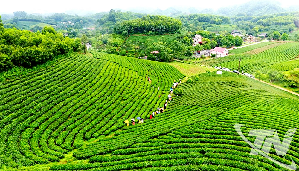 Khai thác tiềm năng du lịch xanh