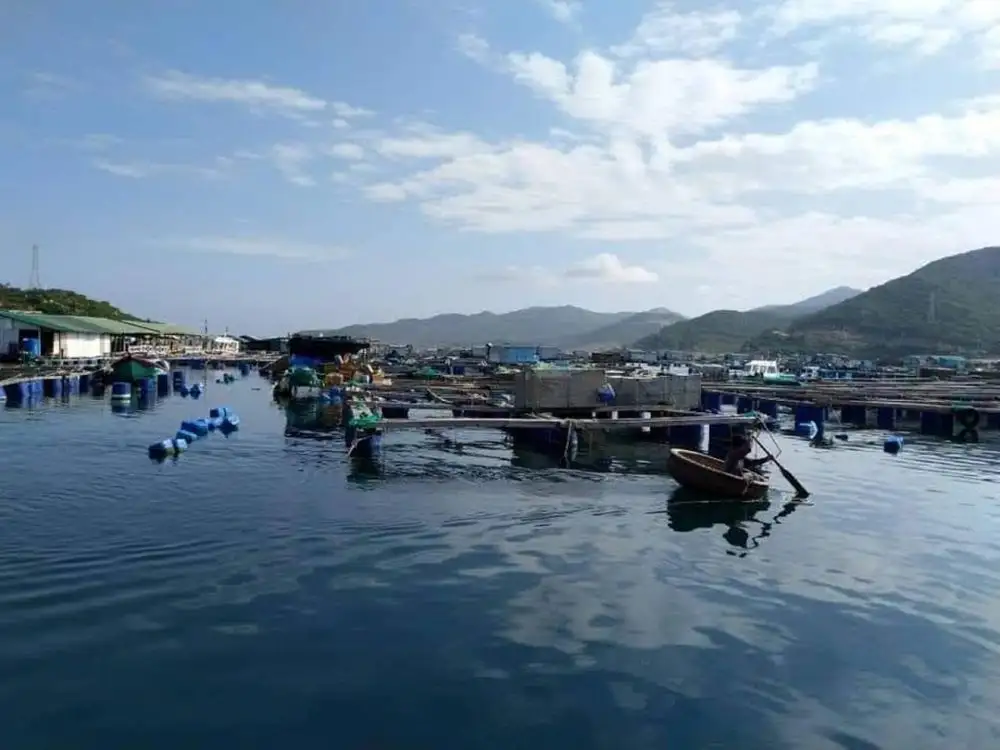 Khánh Hòa &#8216;tăng tốc&#8217; cho mục tiêu xóa nghèo bao trùm và bền vững