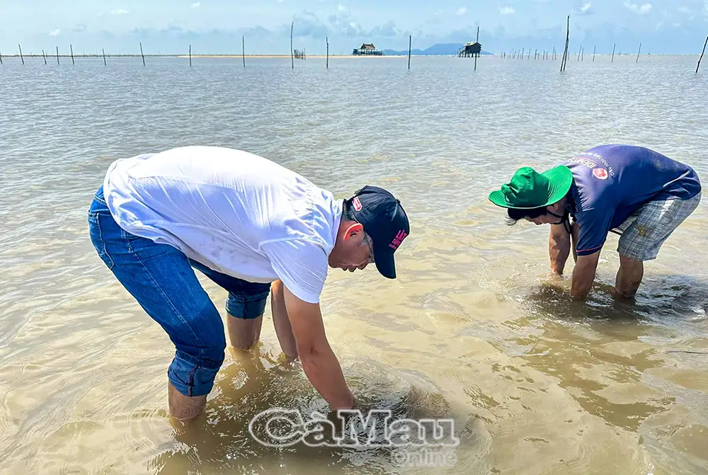 Khi sản phẩm OCOP làm “đại sứ văn hoá”