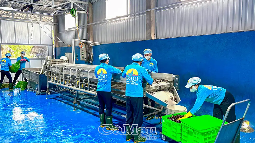 Khi sản phẩm OCOP làm “đại sứ văn hoá”