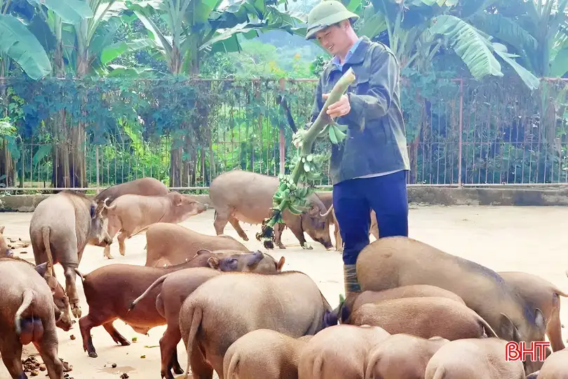 Khơi dậy sức mạnh của nông dân Hà Tĩnh trên hành trình phát triển mới