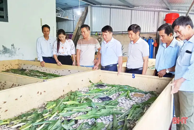 Khơi dậy sức mạnh của nông dân Hà Tĩnh trên hành trình phát triển mới