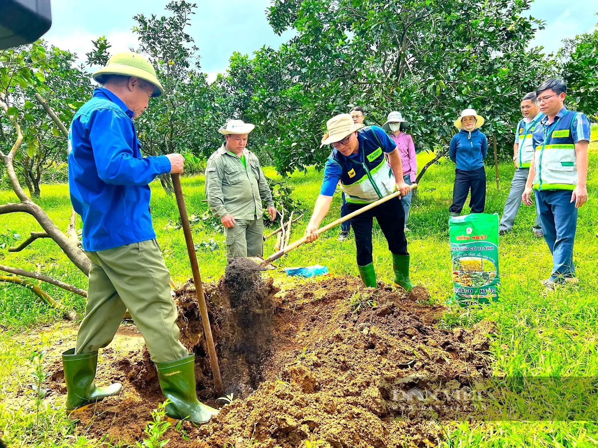 Khôi phục sản xuất nông nghiệp ở Hà Tĩnh sau bão lũ, nông dân trông chờ lắm vào vụ Đông, nhà nào cũng hối hả