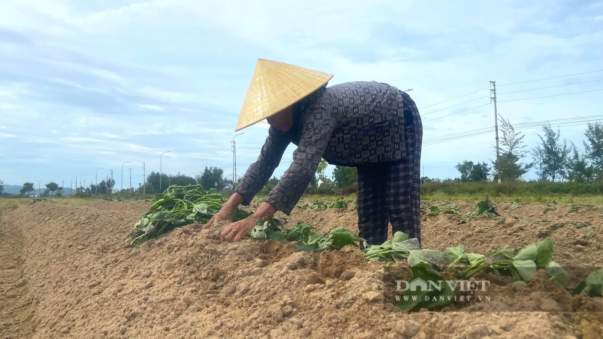 Khôi phục sản xuất nông nghiệp ở Hà Tĩnh sau bão lũ, nông dân trông chờ lắm vào vụ Đông, nhà nào cũng hối hả