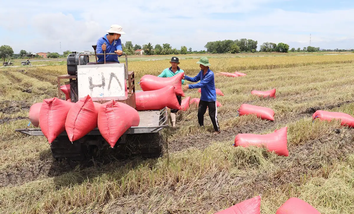 Không chỉ ‘đường đẹp, nhà cao’, nông thôn mới Tây Ninh hướng đến những vùng đất tri thức, công nghệ