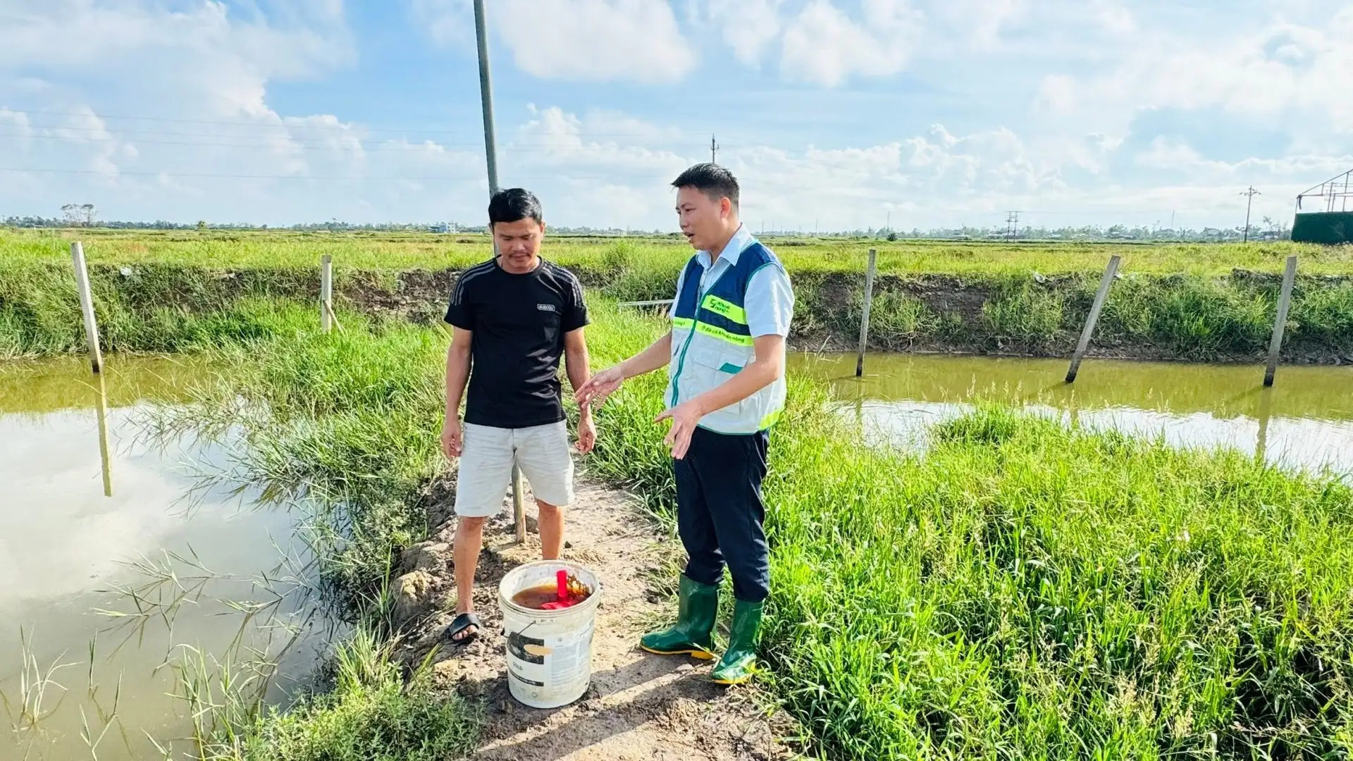 Khuyến nông đồng hành cùng nông dân Hà Tĩnh khắc phục hậu quả bão số 10