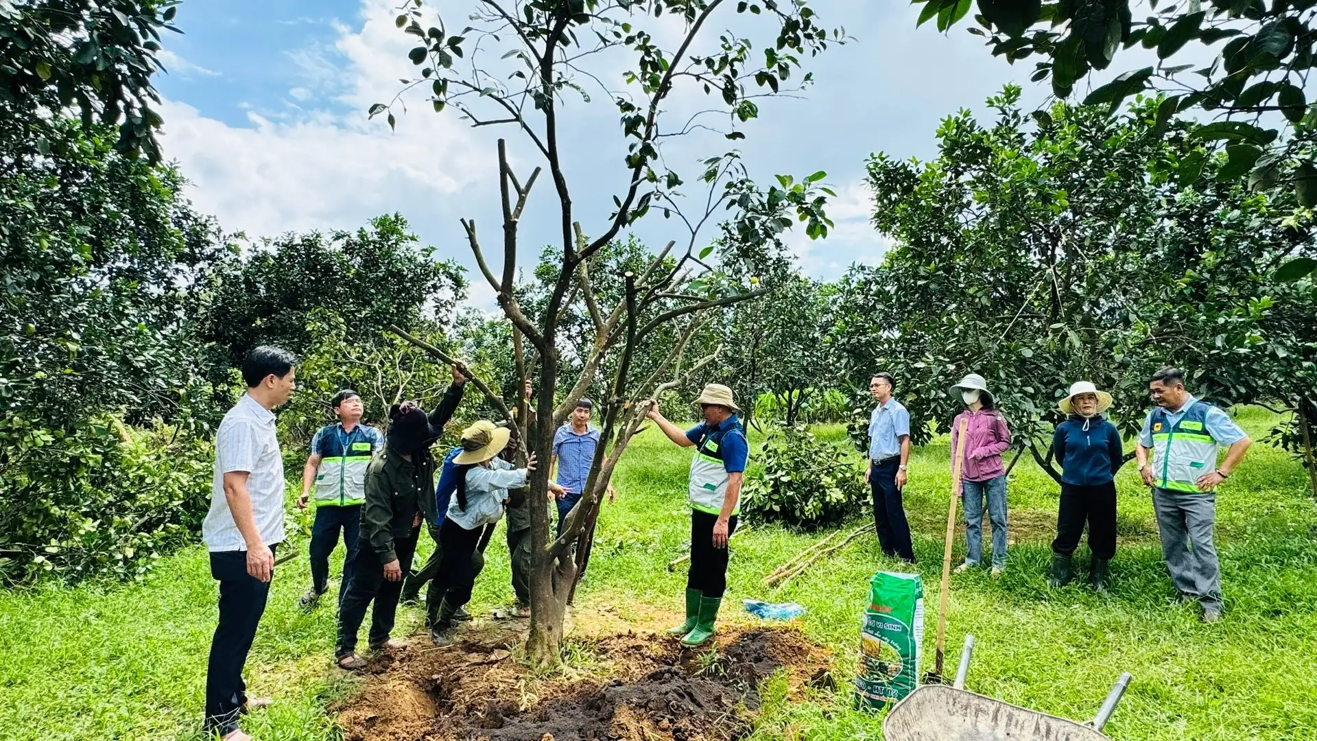 Khuyến nông đồng hành cùng nông dân Hà Tĩnh khắc phục hậu quả bão số 10
