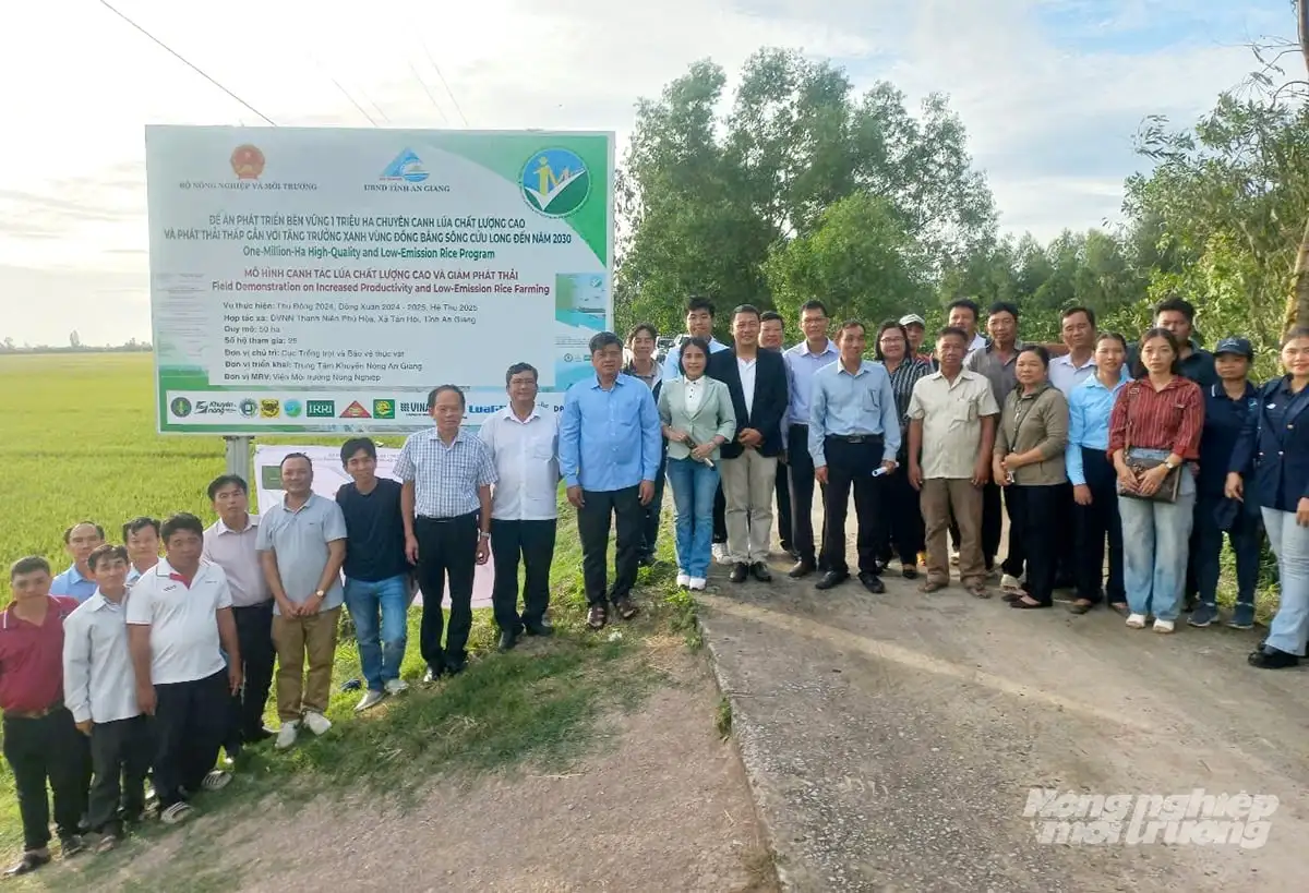 Khuyến nông hợp lực cùng doanh nghiệp: Chìa khóa triển khai vùng lúa giảm phát thải