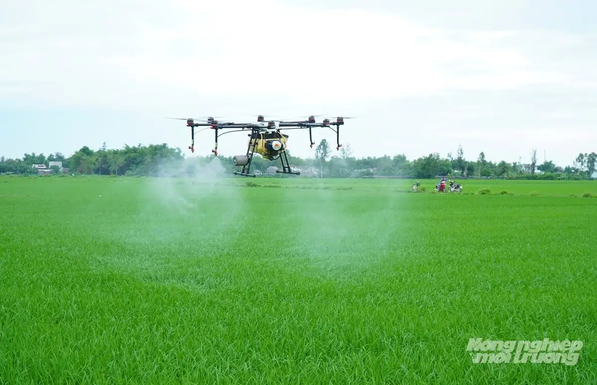 Khuyến nông hợp lực cùng doanh nghiệp: Chìa khóa triển khai vùng lúa giảm phát thải