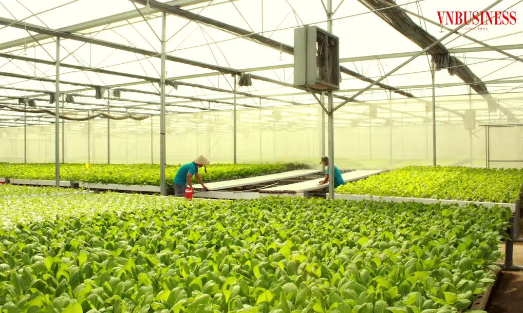 Kiến tạo sức mạnh số hóa nông nghiệp Việt: Sau cơ hội phải là hành động