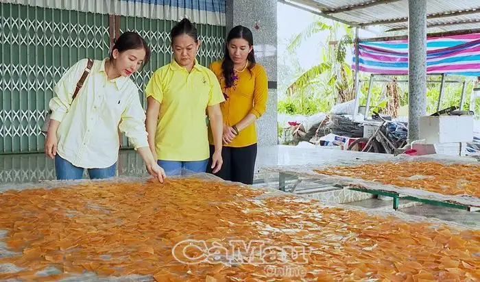 Kinh tế tập thể &#8211; Nền tảng phát triển nông nghiệp bền vững