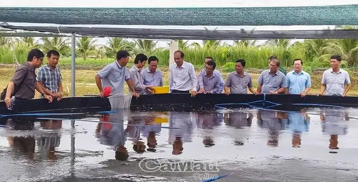 Kinh tế tập thể &#8211; Nền tảng phát triển nông nghiệp bền vững