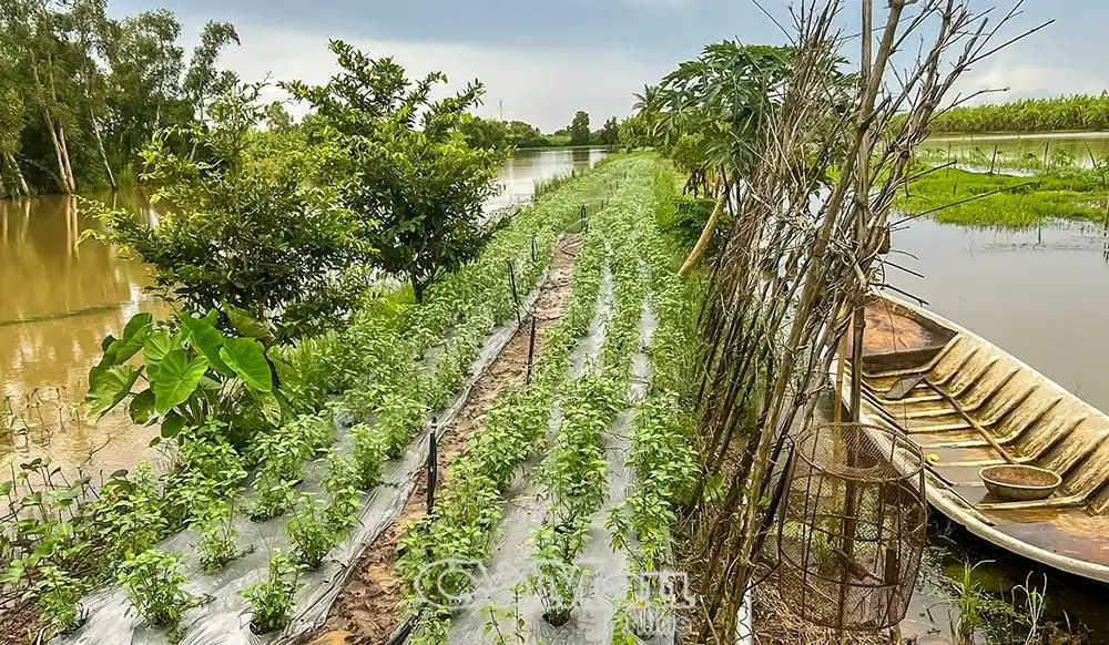 Làm giàu từ nông nghiệp hiện đại