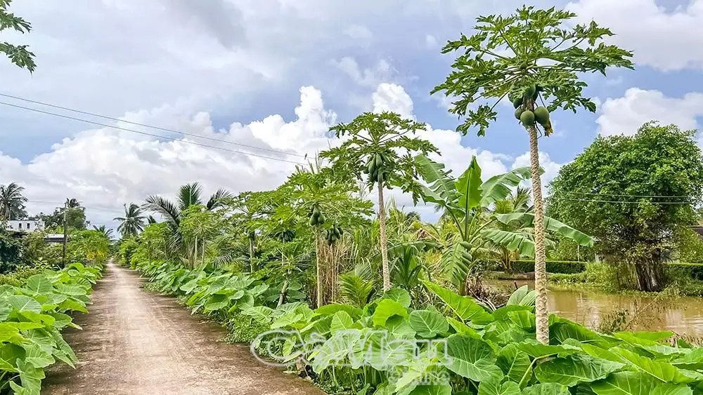 Làm giàu từ nông nghiệp hiện đại