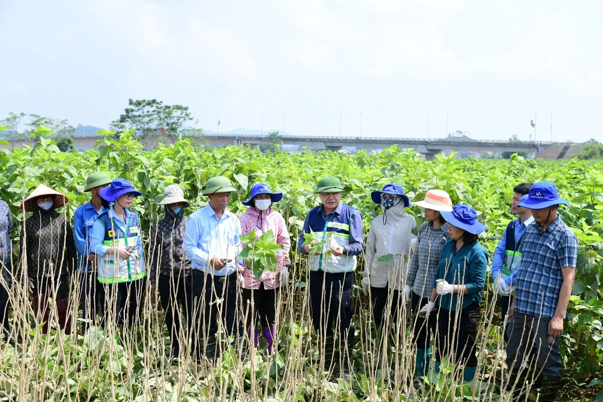 Lần đầu tiên ban hành Chiến lược phát triển khuyến nông đến năm 2030, tầm nhìn đến 2050