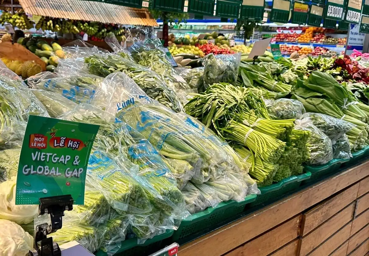 Làng rau Túy Loan khẳng định thương hiệu, đón hơn 8.000 lượt khách mỗi năm