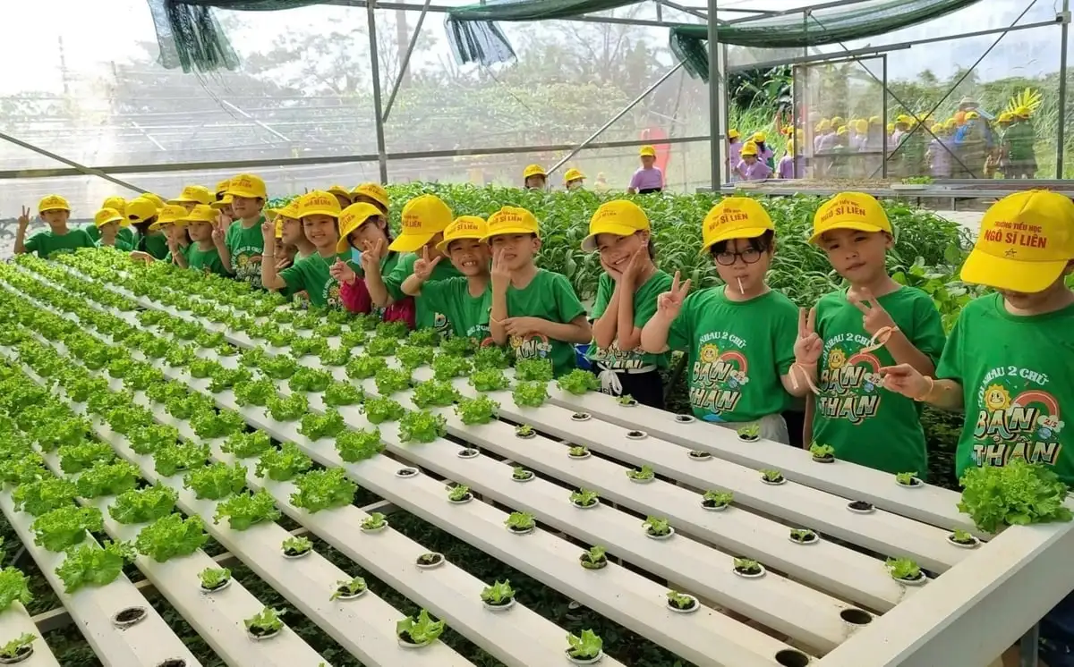 Làng rau Túy Loan khẳng định thương hiệu, đón hơn 8.000 lượt khách mỗi năm