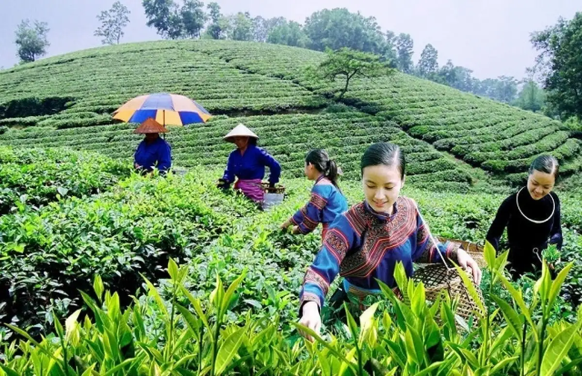 Lào Cai xây dựng nông thôn mới kiểu mẫu từ năm 2025
