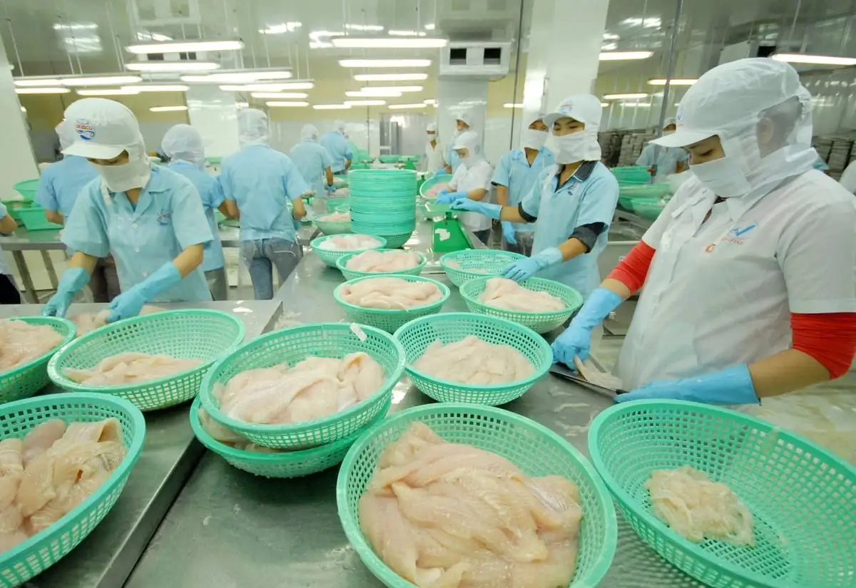 Liên kết &#8216;4 nhà&#8217; đề ngành hàng cá tra phát triển bền vững