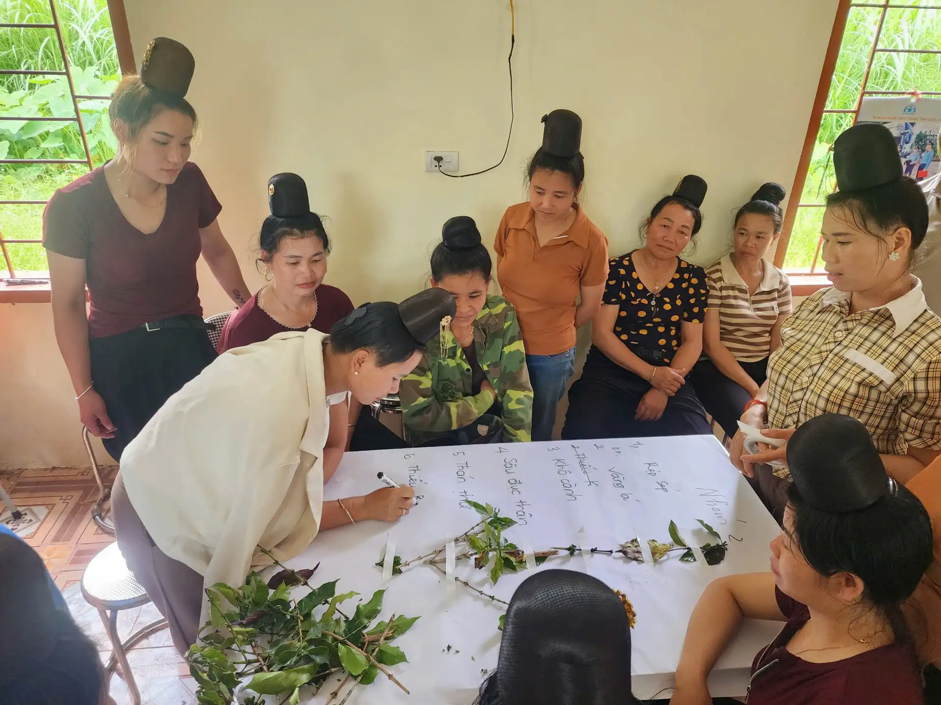 Liên kết trồng cà phê với Công ty CP Phúc Sinh, nông dân Sơn La giàu lên