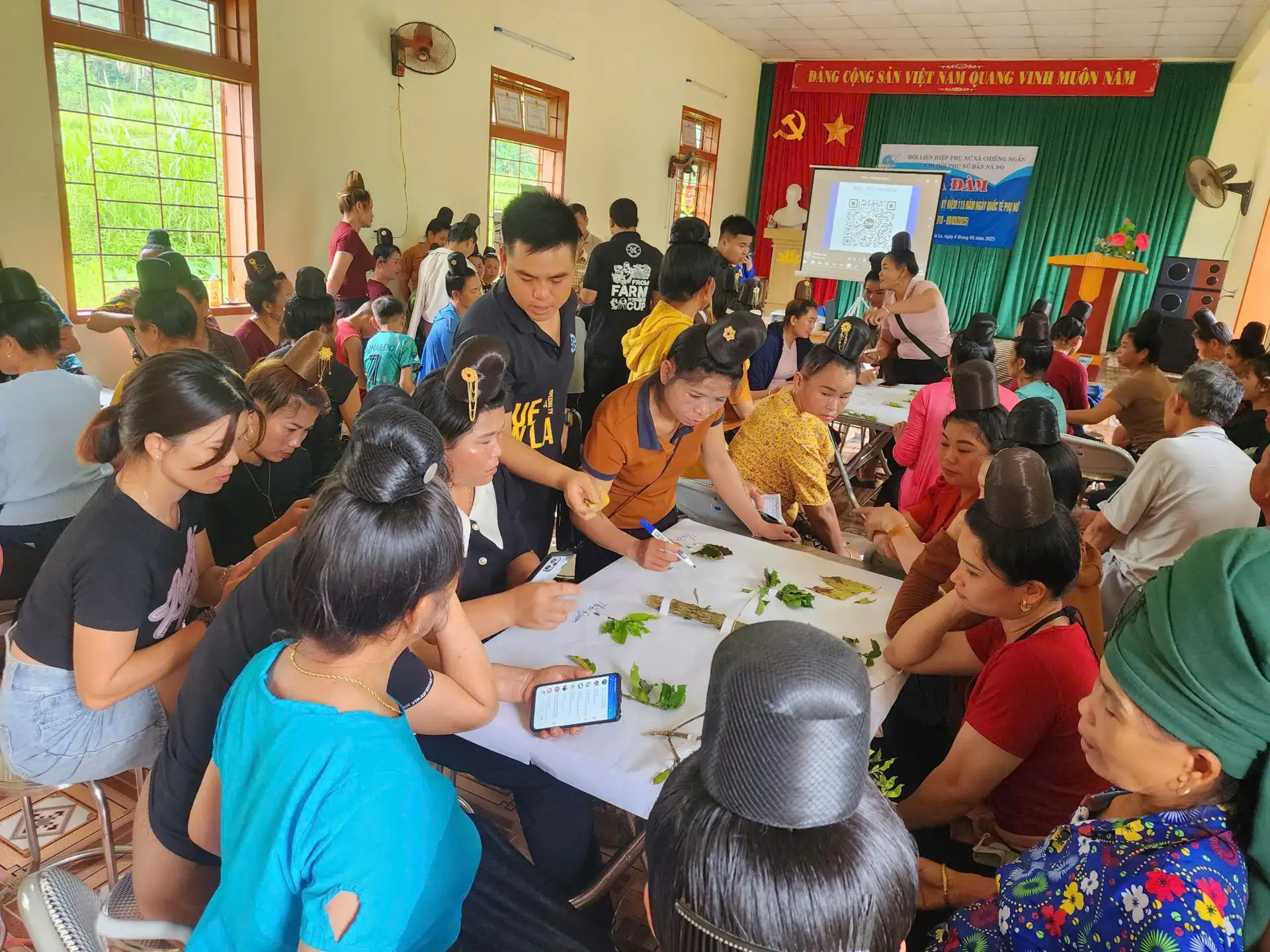 Liên kết trồng cà phê với Công ty CP Phúc Sinh, nông dân Sơn La giàu lên